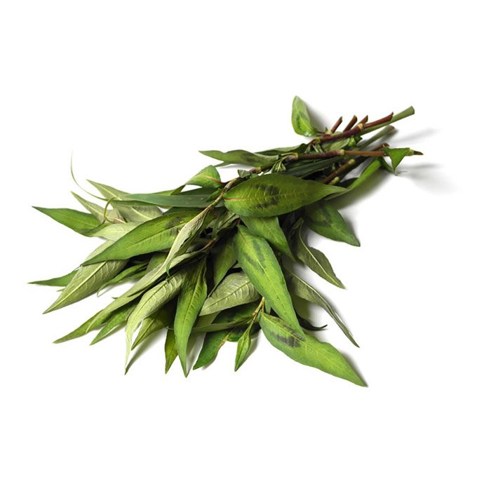 Fresh Herbs - Coriander, Mint, Basil